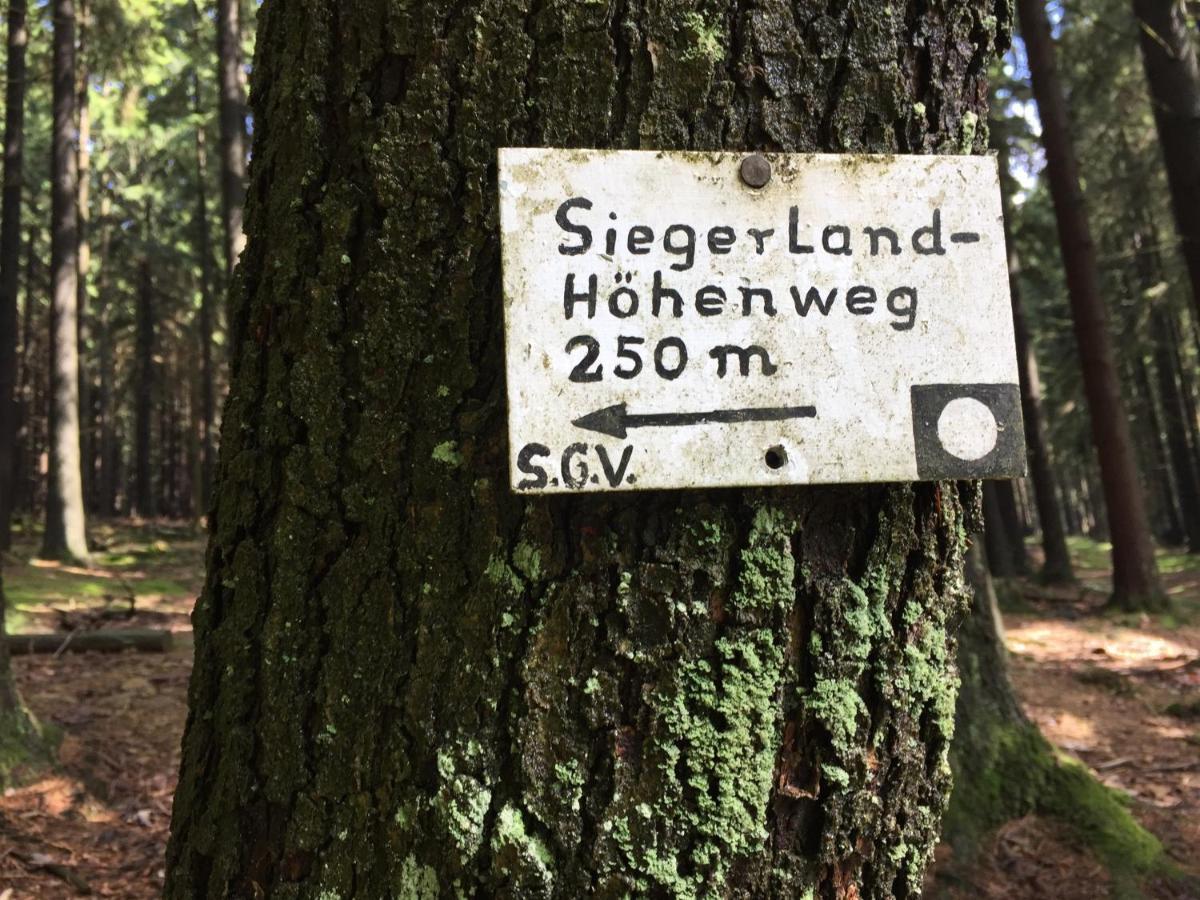 Pension Zum Rothaarsteig Netphen Extérieur photo